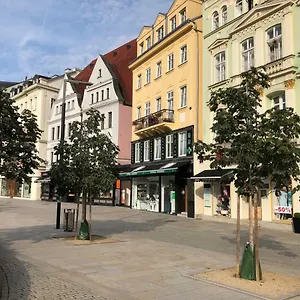 https://apartman-orchidej-u-vridla.karlovyvary-hotels.com